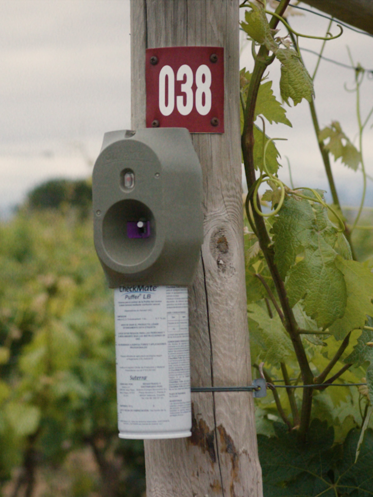 técnica sostenible confusión sexual